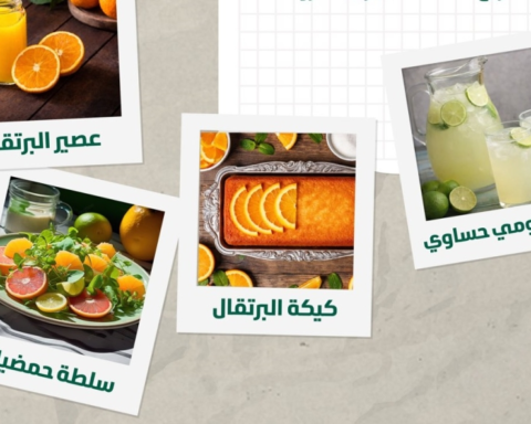 158 ألف طن حمضيات لرمضان: استقرار الأسعار مضمون