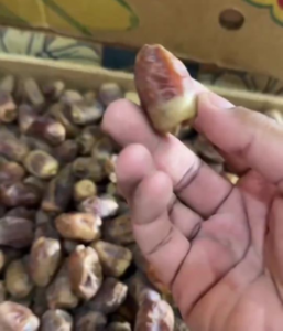 البيئة تؤكد على فحص التمور قبل الشراء لحماية المستهلك