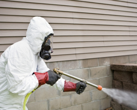 دليل استخدام المبيدات الزراعية بأمان: 7 محظورات هامة