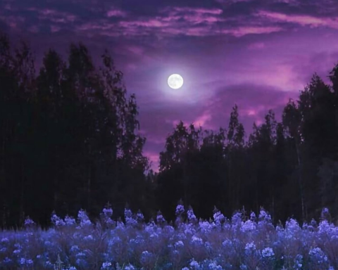 بدر رمضان يزين السماء الليلة: تفاصيل ظاهرة بدر الخزامى