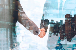 قواعد حوكمة الشركات بالمناطق الاقتصادية: 3 سنوات للتصفية