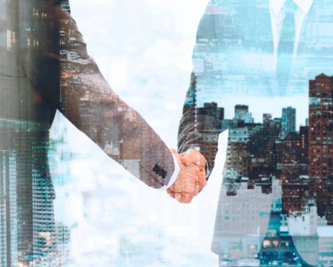 قواعد حوكمة الشركات بالمناطق الاقتصادية: 3 سنوات للتصفية