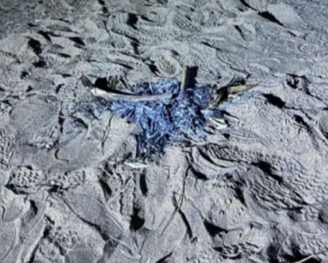 الأمن البيئي يضبط مخالفات إشعال النار والرعي الجائر بالمملكة