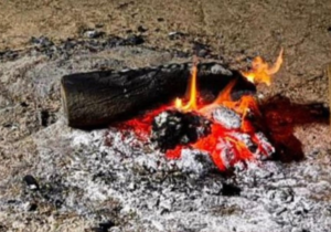 جهود الأمن البيئي في ضبط مخالفات المحميات الملكية