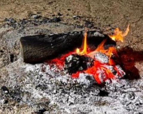 جهود الأمن البيئي في ضبط مخالفات المحميات الملكية