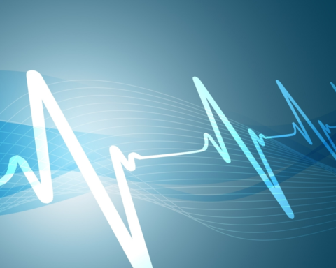 Japan earthquake of magnitude 5.9: Details of the tremor