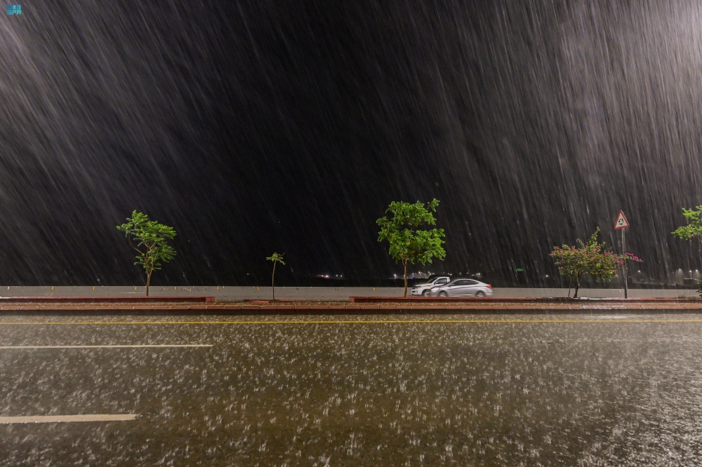 Weather conditions: Rain and dense fog affecting the Al-Baha region