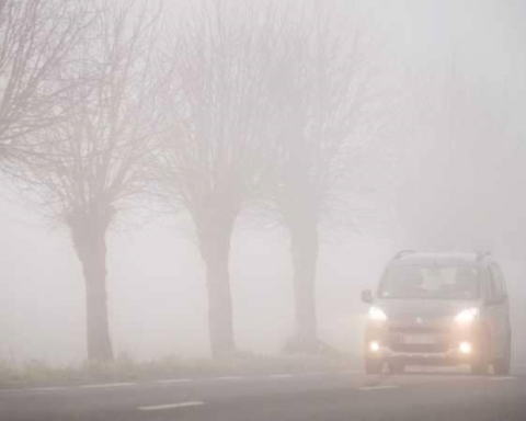 Weather warnings: Dense fog covers 9 regions in Saudi Arabia