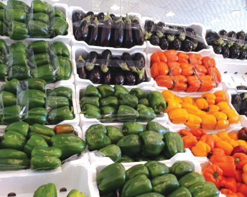 Vegetable price report in Saudi Arabia for February: 11 items see price decreases