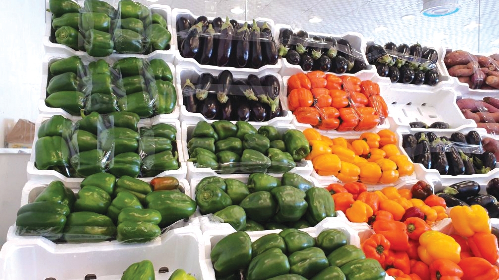 Vegetable price report in Saudi Arabia for February: 11 items see price decreases