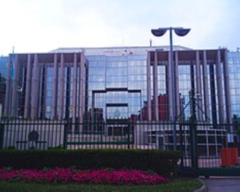 الإنتربول: الاحتيال المالي يكلف العالم 442 مليار دولار