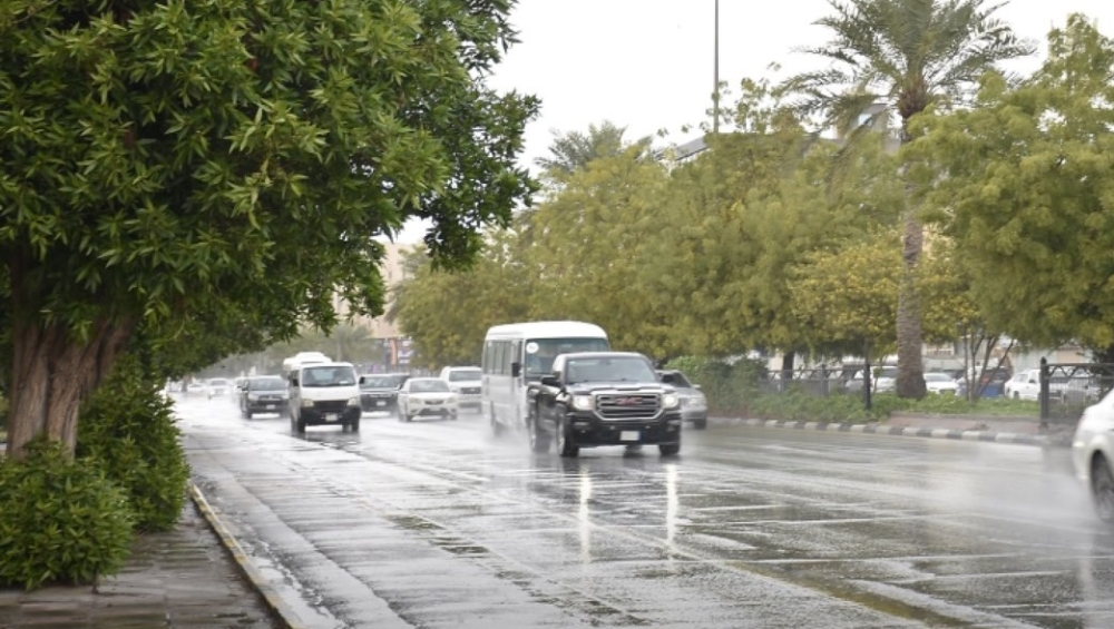 كميات هطول الأمطار في السعودية: الباحة تتصدر المشهد