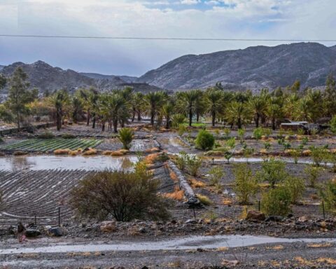 أمطار الباحة تنعش الأجواء وتضاعف فرحة العيد للسكان والزوار