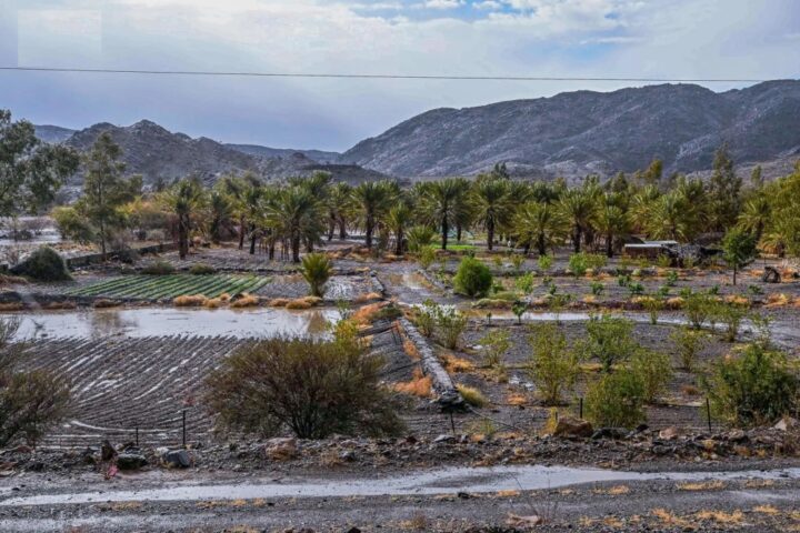 أمطار الباحة تنعش الأجواء وتضاعف فرحة العيد للسكان والزوار