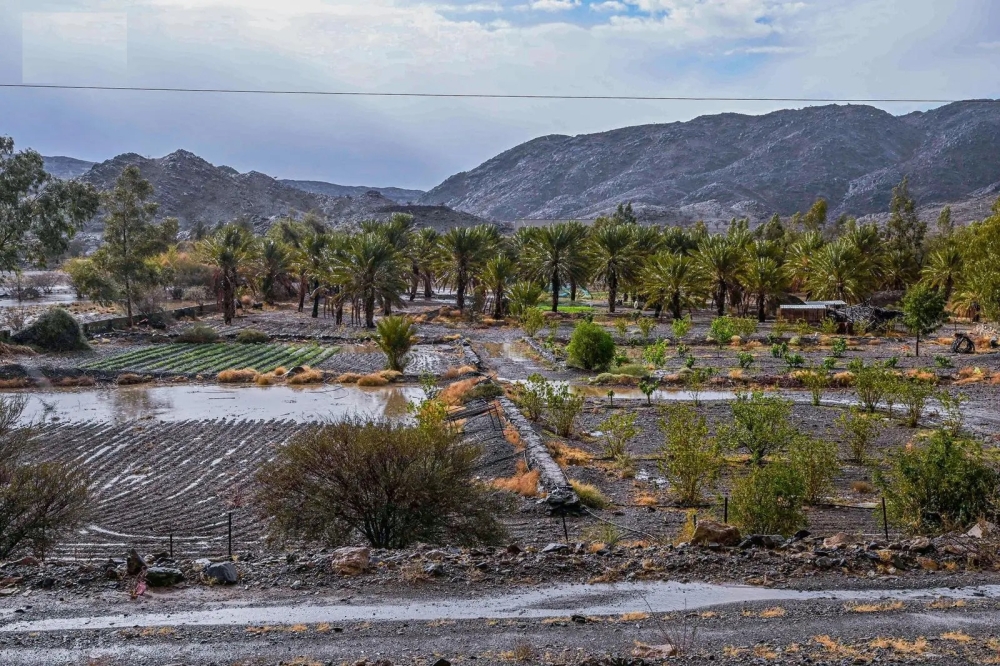 أمطار الباحة تنعش الأجواء وتضاعف فرحة العيد للسكان والزوار