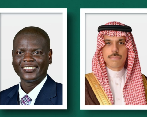 وزير الخارجية يبحث مستجدات الأوضاع بالمنطقة مع جنوب أفريقيا