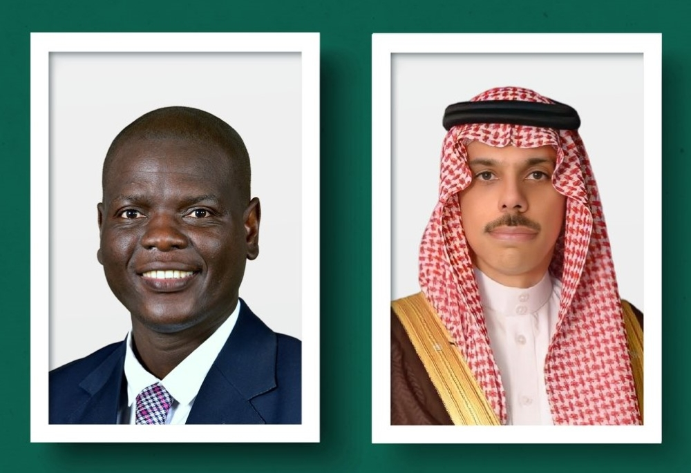 وزير الخارجية يبحث مستجدات الأوضاع بالمنطقة مع جنوب أفريقيا