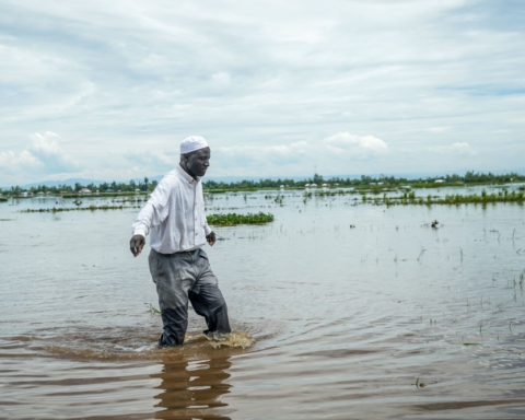 Floods in Kenya: 81 dead and infrastructure destroyed