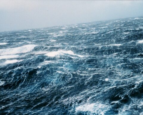 توقعات حالة الطقس: أمطار رعدية ورياح نشطة في السعودية