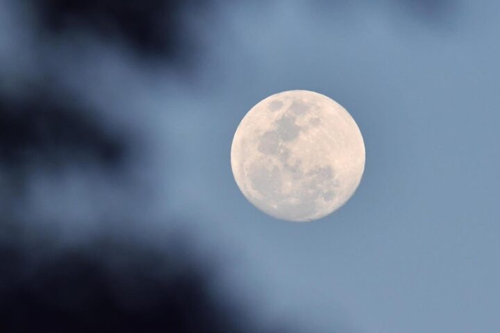 رصد التربيع الأول لقمر شهر شوال في الحدود الشمالية