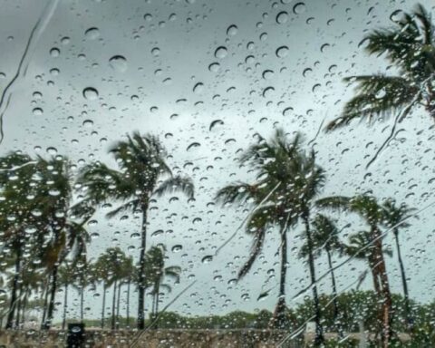 National Center for Meteorology: Light rain in Al-Jumum today