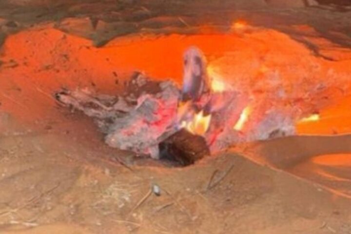 جهود القوات الخاصة للأمن البيئي في ضبط المخالفات