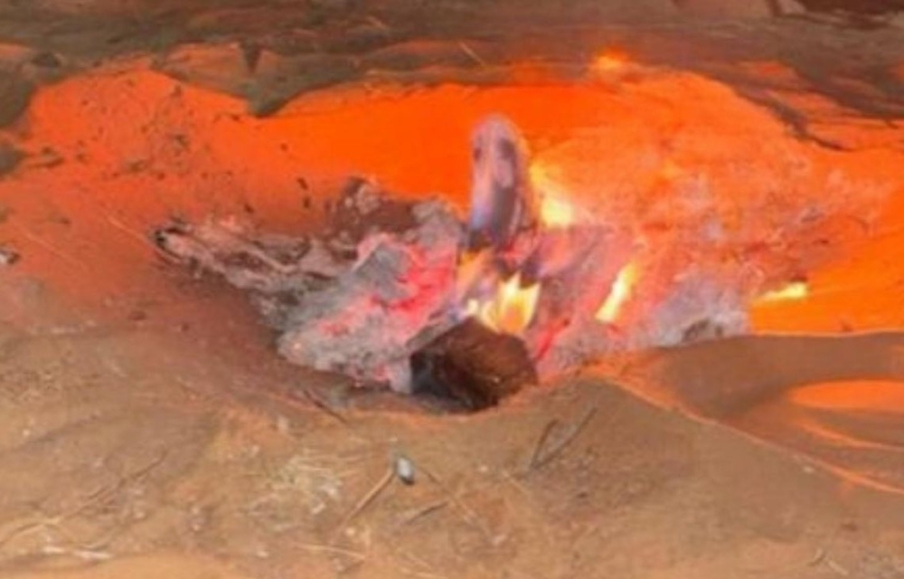 جهود القوات الخاصة للأمن البيئي في ضبط المخالفات