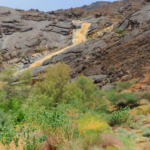 كميات هطول الأمطار في 6 مناطق سعودية.. نجران تسجل أعلى معدل