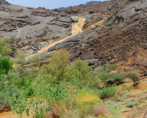 كميات هطول الأمطار في 6 مناطق سعودية.. نجران تسجل أعلى معدل