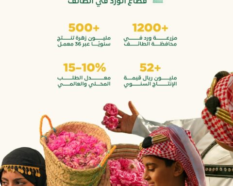 الورد الطائفي: إنتاج ضخم يعطر الأسواق المحلية والعالمية