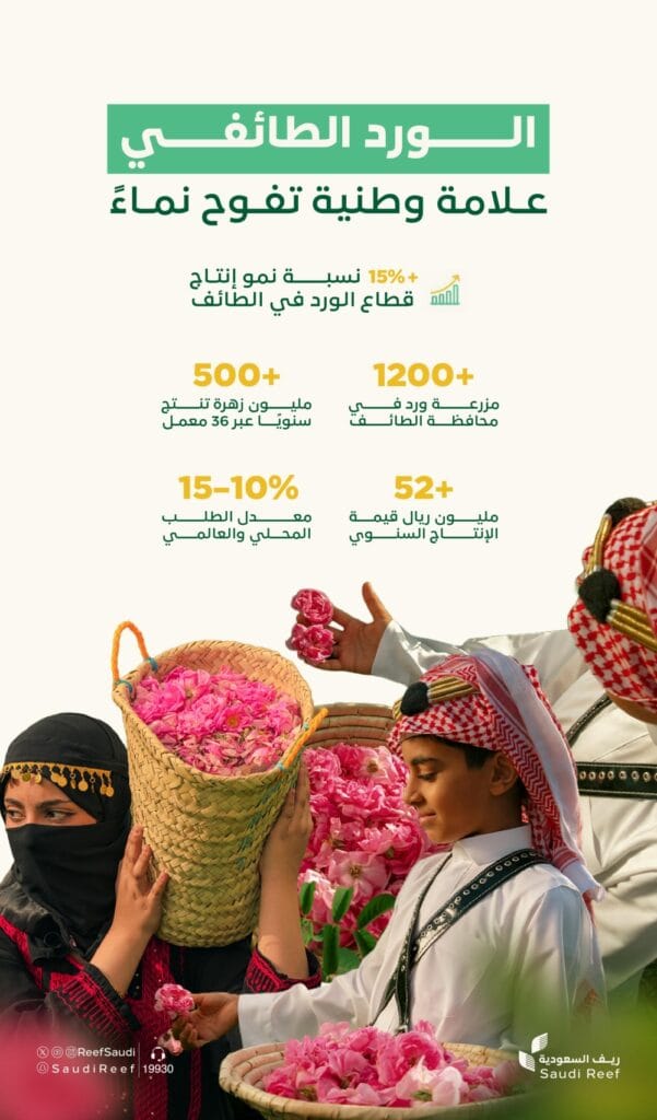 الورد الطائفي: إنتاج ضخم يعطر الأسواق المحلية والعالمية