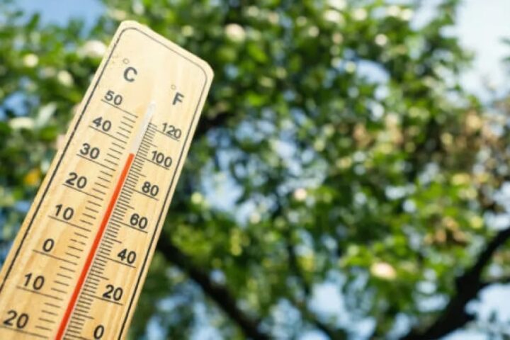 الدمام 29 مئوية: تقرير درجات الحرارة في السعودية اليوم