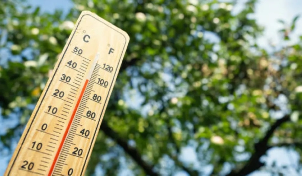 الدمام 29 مئوية: تقرير درجات الحرارة في السعودية اليوم