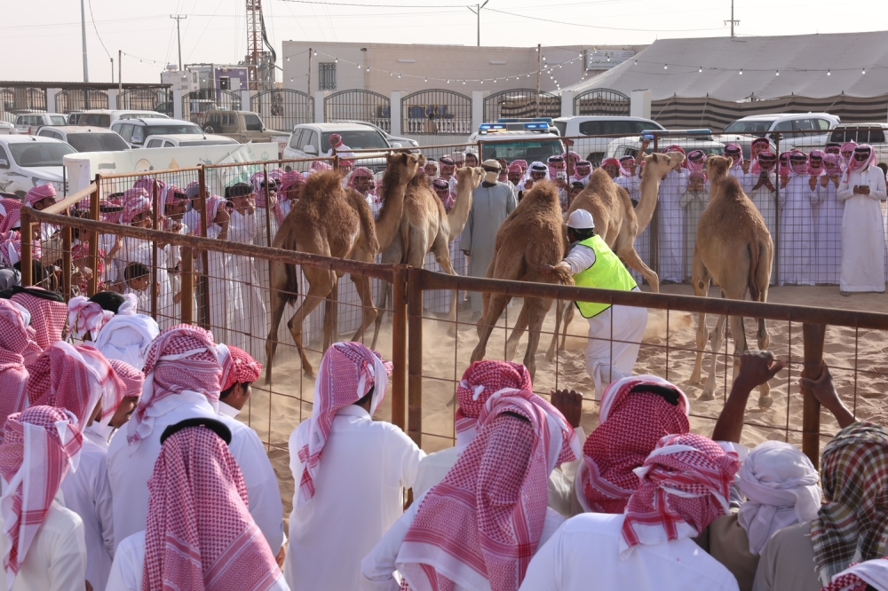 تأهل 20 متسابقاً لنهائيات مسابقة طرح الحاشي بوادي الدواسر
