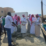 حماية الثروة السمكية في القنفذة: تحذيرات من التلوث والصيد