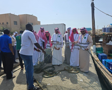 حماية الثروة السمكية في القنفذة: تحذيرات من التلوث والصيد