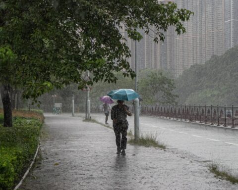 أمطار منطقة الباحة: عواصف رعدية وضباب يغطي المنطقة