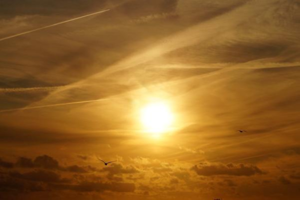 أسباب موجة الحر في جنوبي الصين وتأثير التغير المناخي