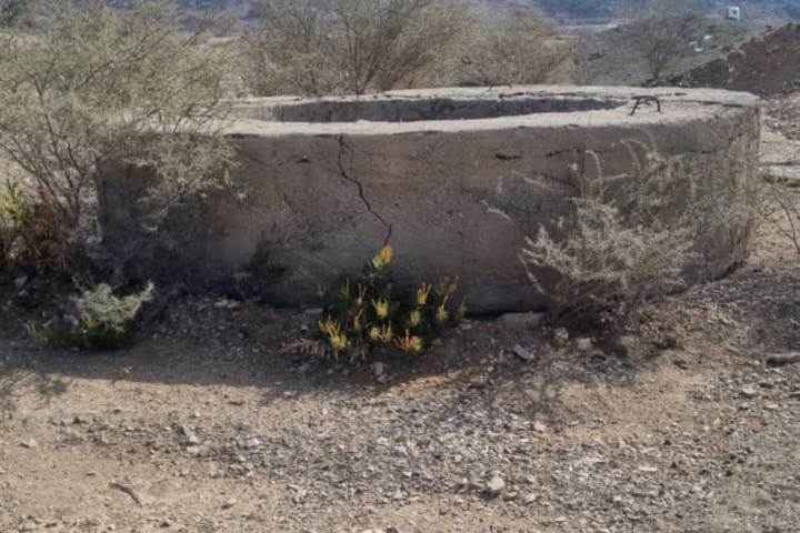 ردم الآبار المكشوفة في مكة المكرمة لضمان السلامة العامة