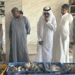 تكثيف الرقابة برابغ مع بدء حظر صيد أسماك الناجل والطرادي